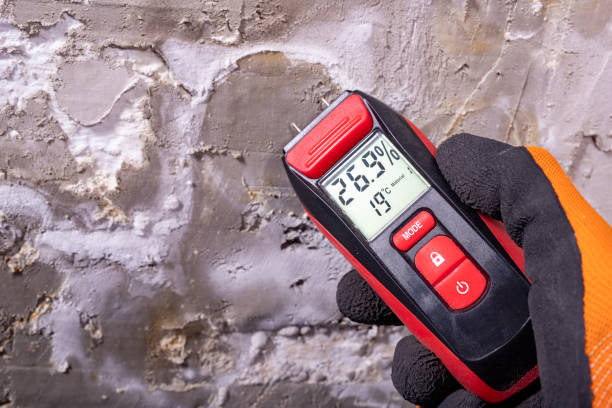 Best Mold Remediation for Schools in Homosassa, FL