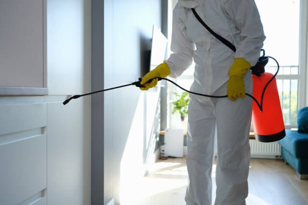 Homosassa, FL Mold Remediation Company